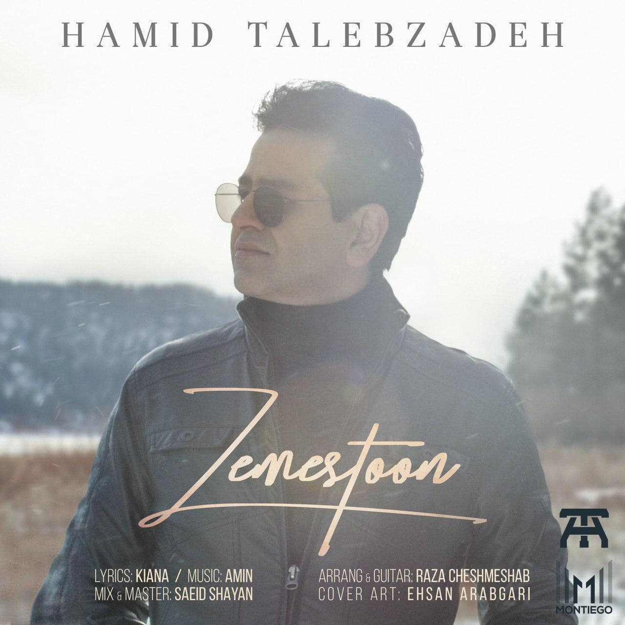 Hamid Talebzadeh Zemestoon 