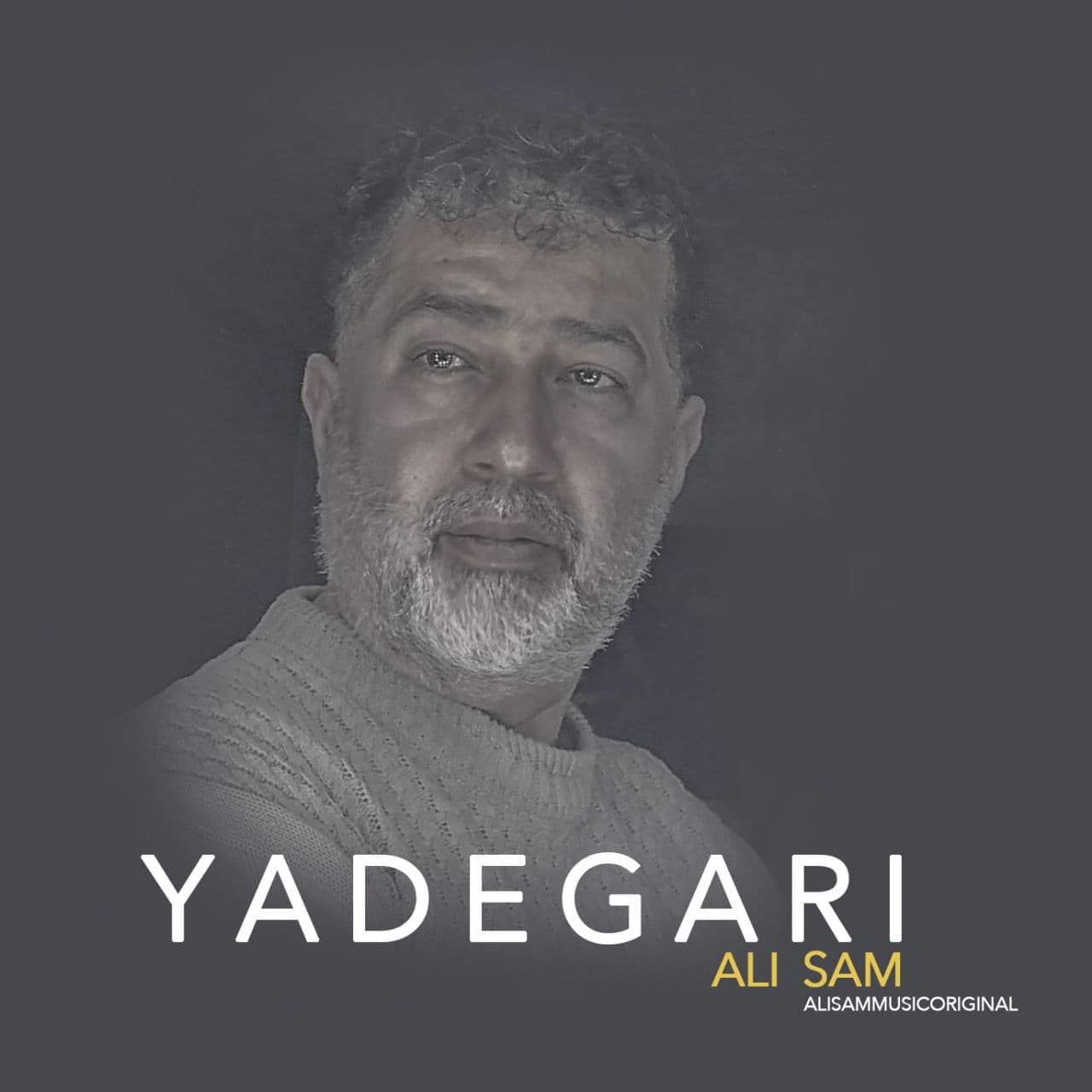 Ali Sam Yadegari 