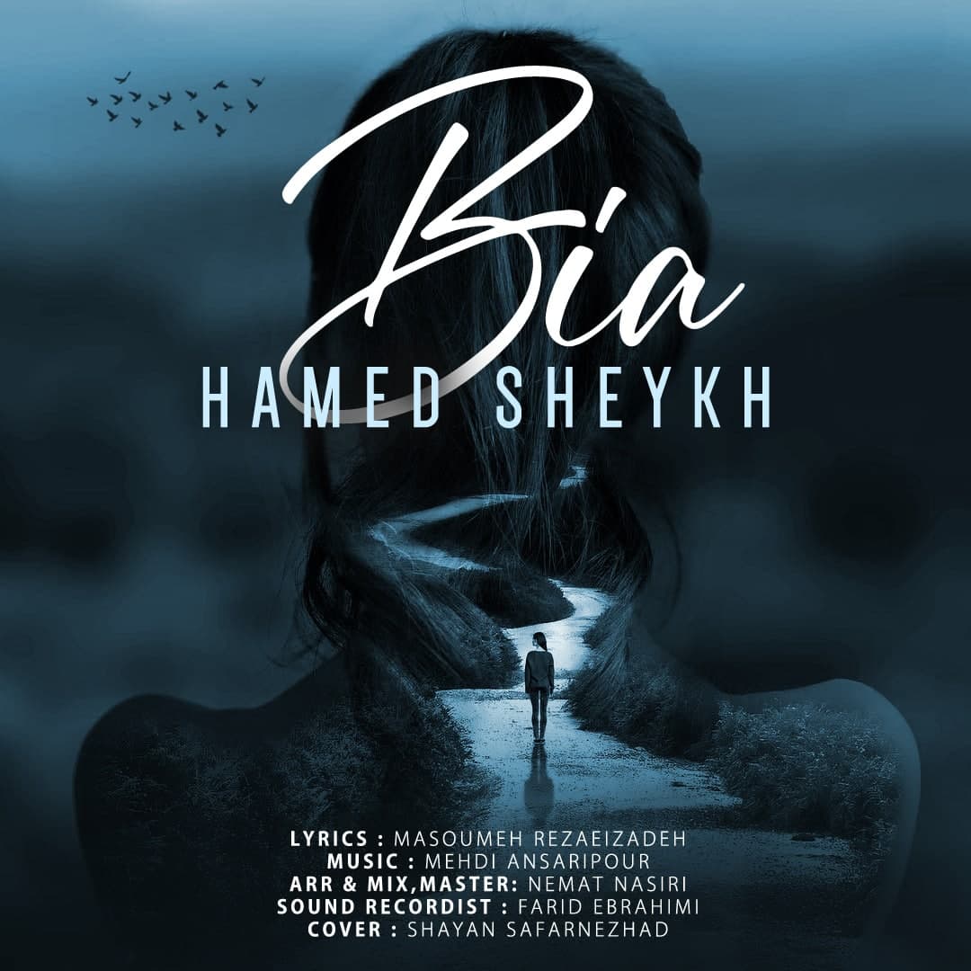 Hamed Sheykh Bia 